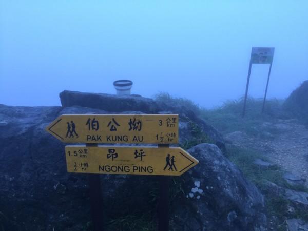 桐山清理违规横幅广告！