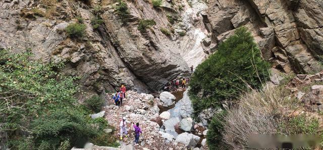 “1680元哈尔滨纯玩团早餐稀饭馒头”，当地文旅局通报